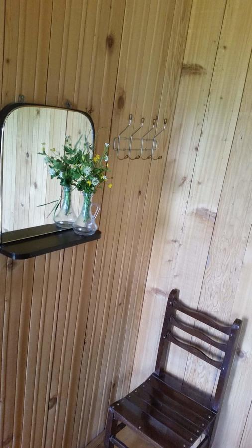 Guesthouse Angelina Ushguli Dış mekan fotoğraf