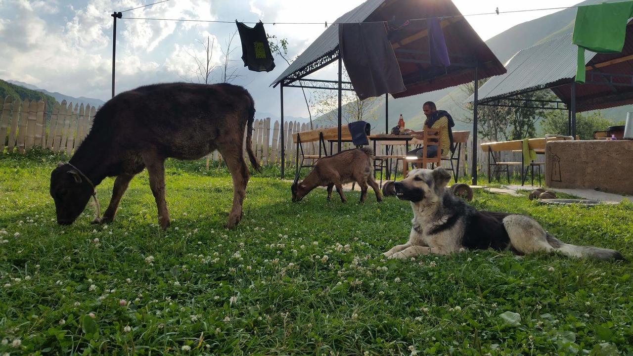 Guesthouse Angelina Ushguli Dış mekan fotoğraf