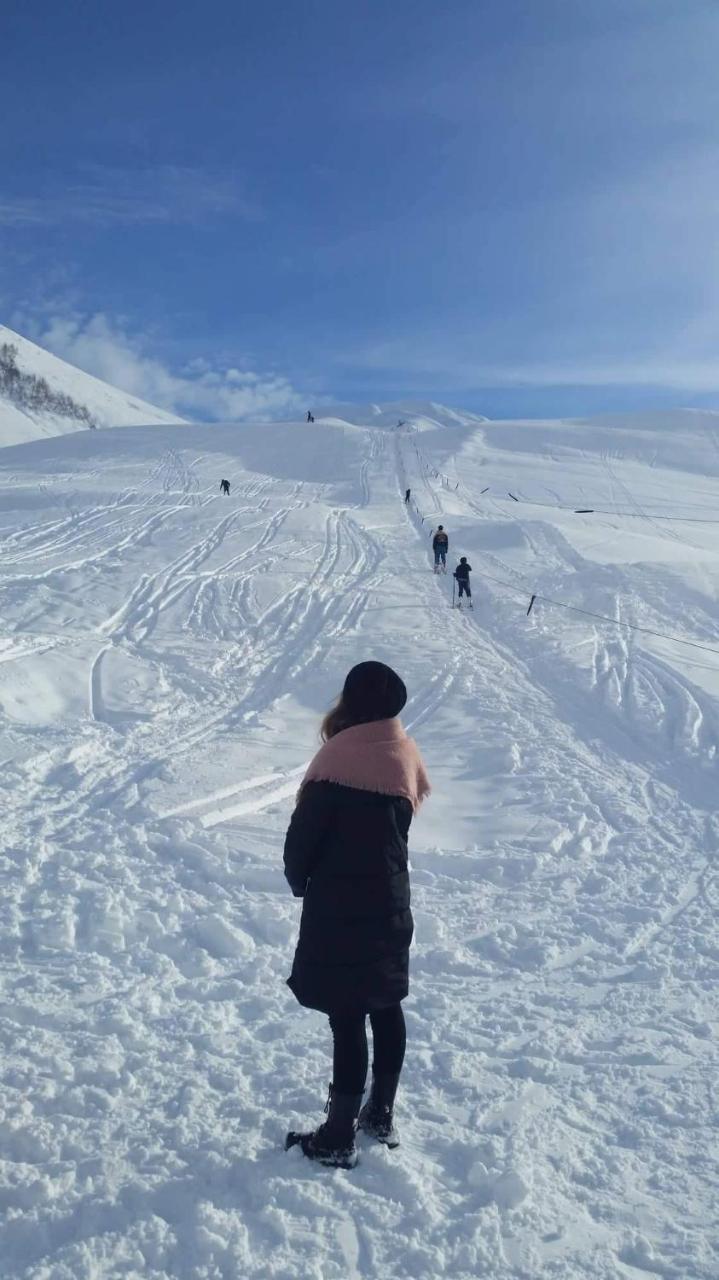 Guesthouse Angelina Ushguli Dış mekan fotoğraf