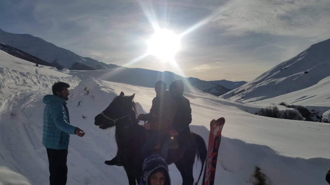 Guesthouse Angelina Ushguli Dış mekan fotoğraf